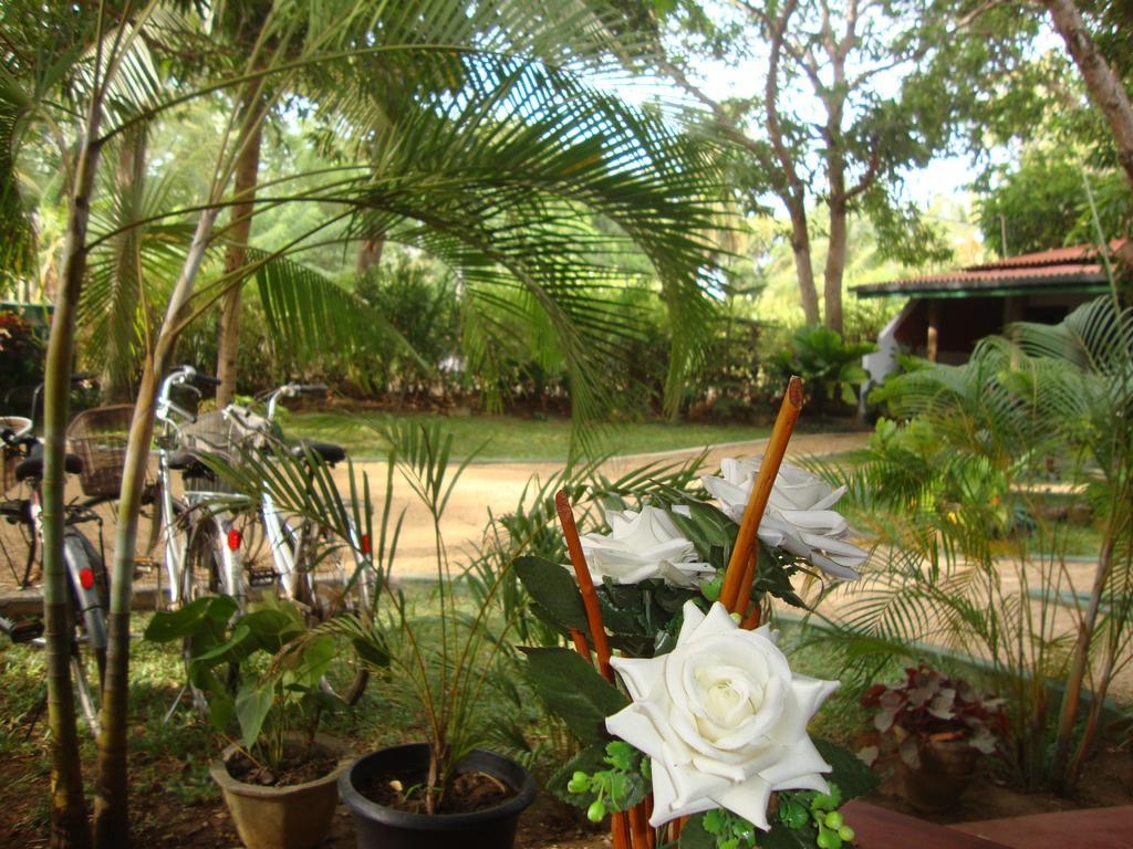 Station touristique The Nature Park 3*