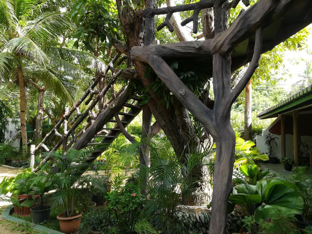 The Nature Park 3* Sigiriya